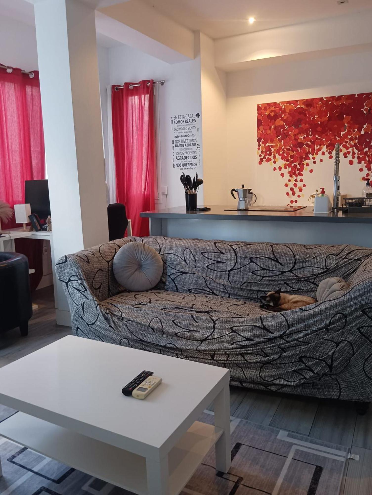 En Un Piso Muy Centrico Y Moderno En - In A Centric And Modern In The Heart Of * Malaga